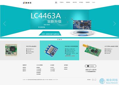 凌承芯-深圳企業(yè)網(wǎng)站建設案例