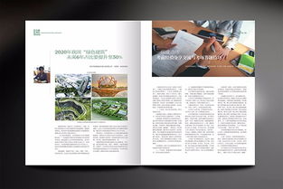 圖 深圳石巖產(chǎn)品畫(huà)冊(cè)設(shè)計(jì),企業(yè)畫(huà)冊(cè)專業(yè)設(shè)計(jì),石巖折頁(yè)設(shè)計(jì)公司 深圳設(shè)計(jì)策劃